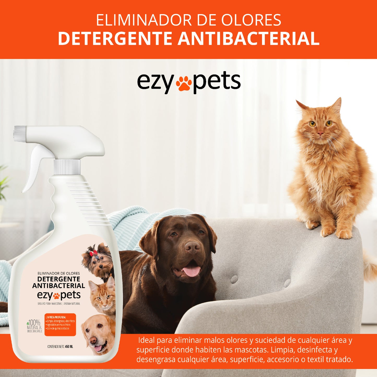 Detergente Antibacterial