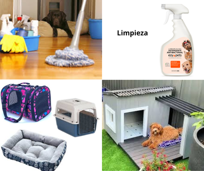 Detergente Antibacterial